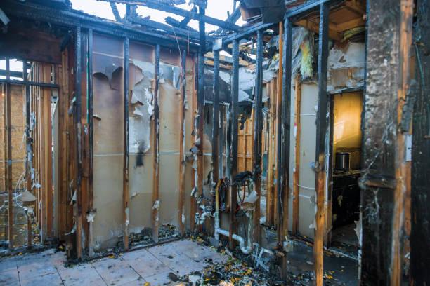 Professional Fire Damage Removal technician working in Richwood, NJ